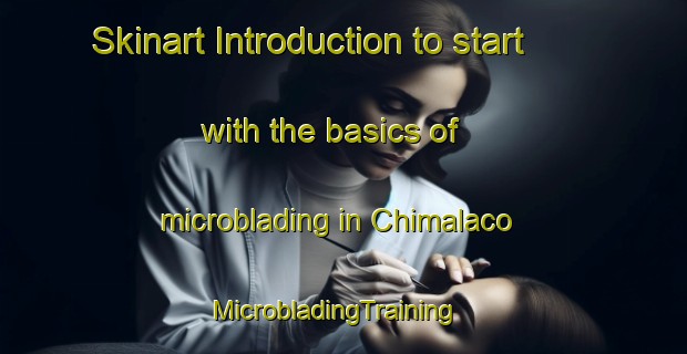 Skinart Introduction to start with the basics of microblading in Chimalaco | MicrobladingTraining | MicrobladingClasses | SkinartTraining-Mexico