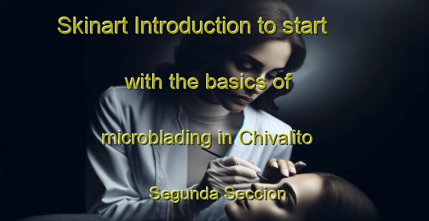 Skinart Introduction to start with the basics of microblading in Chivalito Segunda Seccion | MicrobladingTraining | MicrobladingClasses | SkinartTraining-Mexico