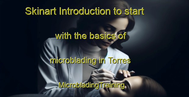 Skinart Introduction to start with the basics of microblading in Torres | MicrobladingTraining | MicrobladingClasses | SkinartTraining-Mexico