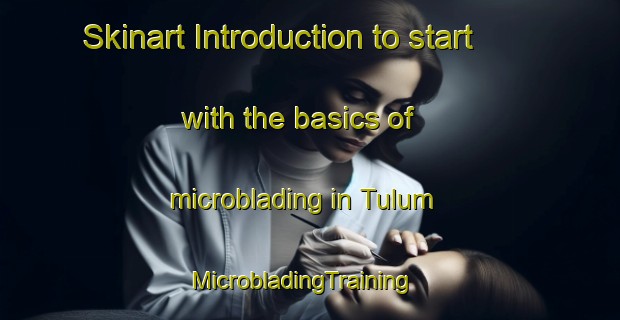 Skinart Introduction to start with the basics of microblading in Tulum | MicrobladingTraining | MicrobladingClasses | SkinartTraining-Mexico