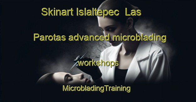 Skinart Islaltepec  Las Parotas advanced microblading workshops | #MicrobladingTraining #MicrobladingClasses #SkinartTraining-Mexico