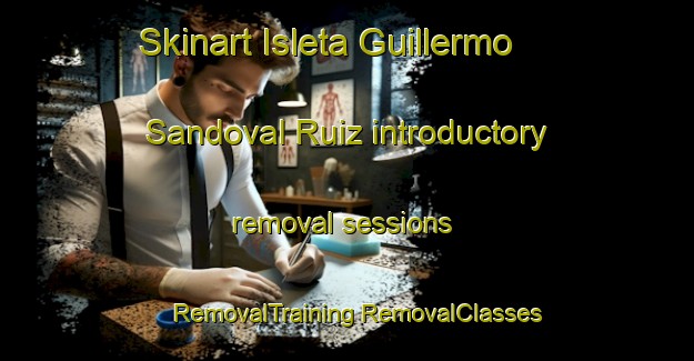 Skinart Isleta Guillermo Sandoval Ruiz introductory removal sessions | #RemovalTraining #RemovalClasses #SkinartTraining-Mexico