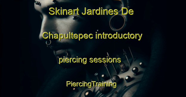 Skinart Jardines De Chapultepec introductory piercing sessions | #PiercingTraining #PiercingClasses #SkinartTraining-Mexico