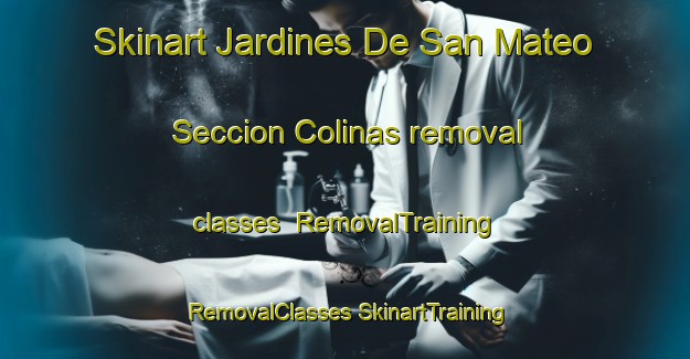 Skinart Jardines De San Mateo Seccion Colinas removal classes | #RemovalTraining #RemovalClasses #SkinartTraining-Mexico