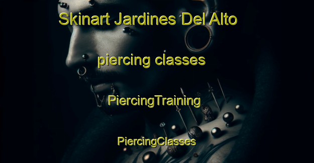 Skinart Jardines Del Alto piercing classes | #PiercingTraining #PiercingClasses #SkinartTraining-Mexico