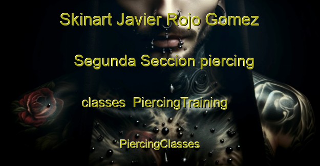 Skinart Javier Rojo Gomez Segunda Seccion piercing classes | #PiercingTraining #PiercingClasses #SkinartTraining-Mexico