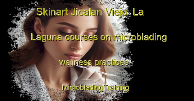 Skinart Jicalan Viejo  La Laguna courses on microblading wellness practices | #MicrobladingTraining #MicrobladingClasses #SkinartTraining-Mexico