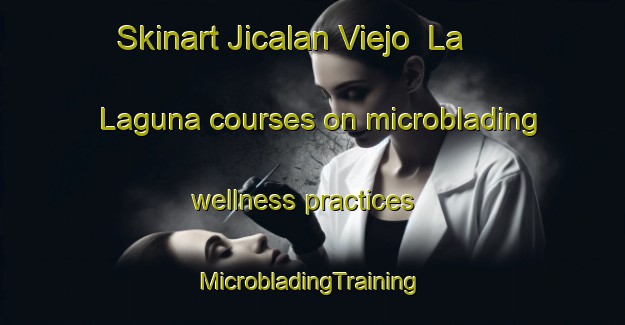 Skinart Jicalan Viejo  La Laguna courses on microblading wellness practices | #MicrobladingTraining #MicrobladingClasses #SkinartTraining-Mexico