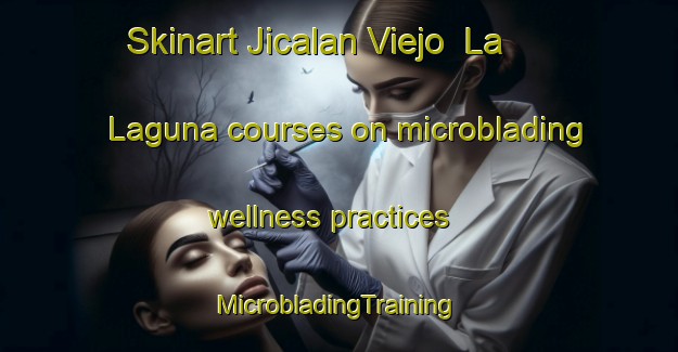 Skinart Jicalan Viejo  La Laguna courses on microblading wellness practices | #MicrobladingTraining #MicrobladingClasses #SkinartTraining-Mexico