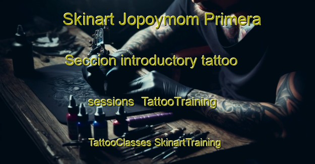 Skinart Jopoymom Primera Seccion introductory tattoo sessions | #TattooTraining #TattooClasses #SkinartTraining-Mexico