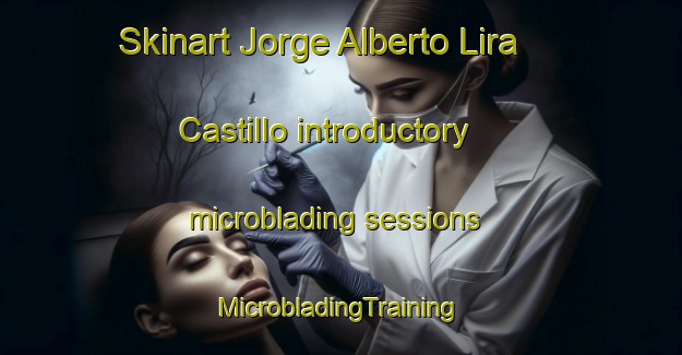 Skinart Jorge Alberto Lira Castillo introductory microblading sessions | #MicrobladingTraining #MicrobladingClasses #SkinartTraining-Mexico