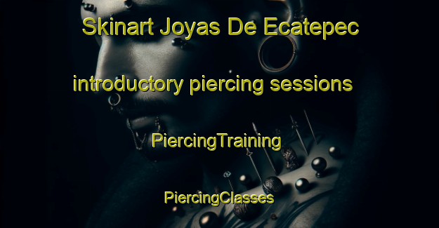 Skinart Joyas De Ecatepec introductory piercing sessions | #PiercingTraining #PiercingClasses #SkinartTraining-Mexico