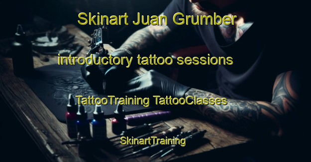 Skinart Juan Grumber introductory tattoo sessions | #TattooTraining #TattooClasses #SkinartTraining-Mexico