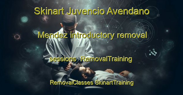 Skinart Juvencio Avendano Mendez introductory removal sessions | #RemovalTraining #RemovalClasses #SkinartTraining-Mexico