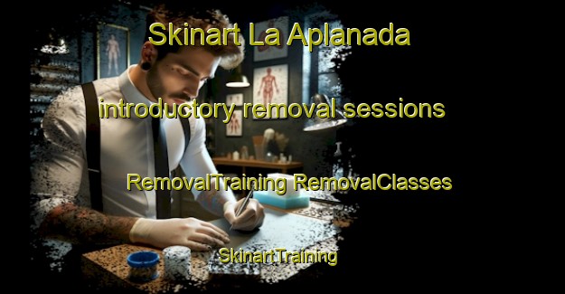 Skinart La Aplanada introductory removal sessions | #RemovalTraining #RemovalClasses #SkinartTraining-Mexico