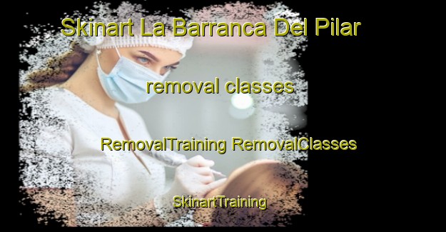 Skinart La Barranca Del Pilar removal classes | #RemovalTraining #RemovalClasses #SkinartTraining-Mexico