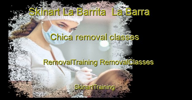 Skinart La Barrita  La Barra Chica removal classes | #RemovalTraining #RemovalClasses #SkinartTraining-Mexico