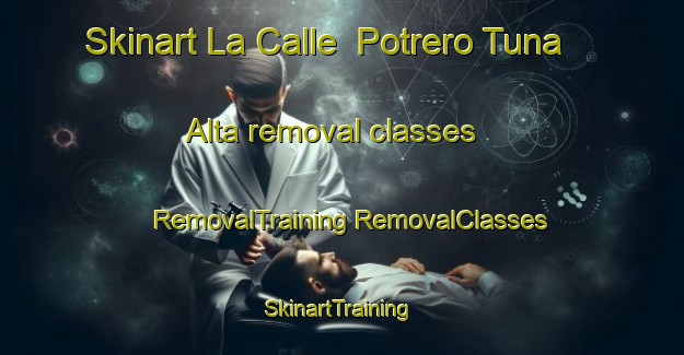 Skinart La Calle  Potrero Tuna Alta removal classes | #RemovalTraining #RemovalClasses #SkinartTraining-Mexico