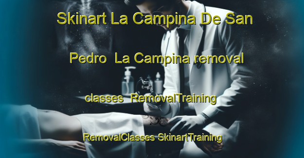 Skinart La Campina De San Pedro  La Campina removal classes | #RemovalTraining #RemovalClasses #SkinartTraining-Mexico