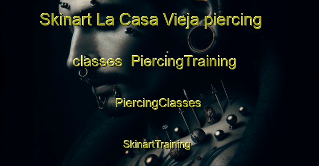 Skinart La Casa Vieja piercing classes | #PiercingTraining #PiercingClasses #SkinartTraining-Mexico