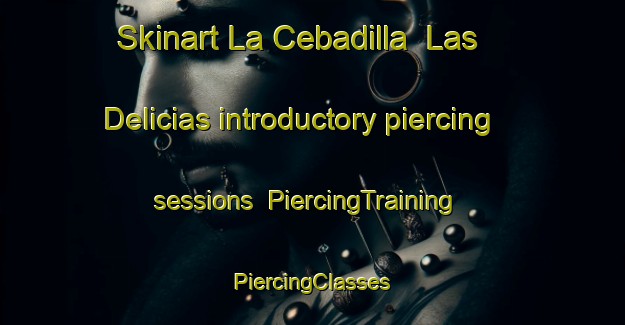 Skinart La Cebadilla  Las Delicias introductory piercing sessions | #PiercingTraining #PiercingClasses #SkinartTraining-Mexico