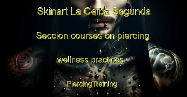 Skinart La Ceiba Segunda Seccion courses on piercing wellness practices | #PiercingTraining #PiercingClasses #SkinartTraining-Mexico