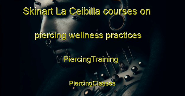 Skinart La Ceibilla courses on piercing wellness practices | #PiercingTraining #PiercingClasses #SkinartTraining-Mexico