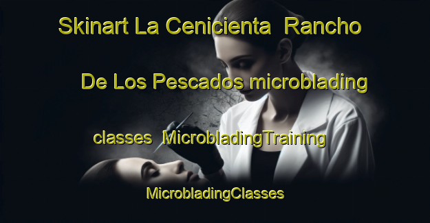 Skinart La Cenicienta  Rancho De Los Pescados microblading classes | #MicrobladingTraining #MicrobladingClasses #SkinartTraining-Mexico