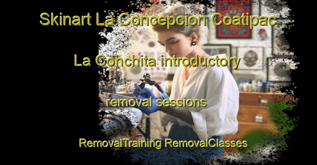 Skinart La Concepcion Coatipac  La Conchita introductory removal sessions | #RemovalTraining #RemovalClasses #SkinartTraining-Mexico