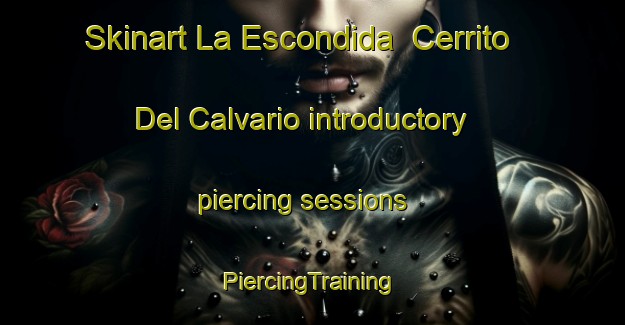 Skinart La Escondida  Cerrito Del Calvario introductory piercing sessions | #PiercingTraining #PiercingClasses #SkinartTraining-Mexico