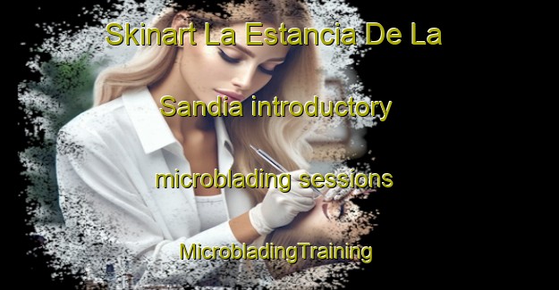 Skinart La Estancia De La Sandia introductory microblading sessions | #MicrobladingTraining #MicrobladingClasses #SkinartTraining-Mexico