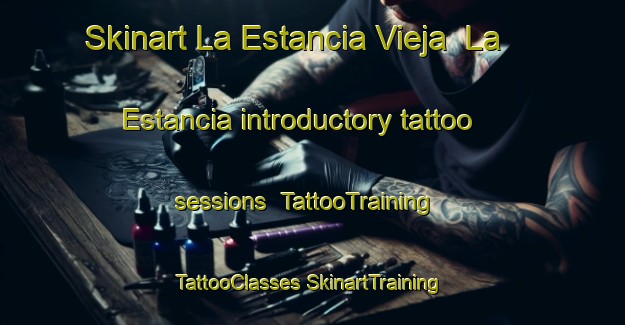 Skinart La Estancia Vieja  La Estancia introductory tattoo sessions | #TattooTraining #TattooClasses #SkinartTraining-Mexico