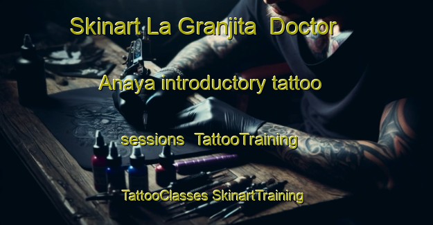 Skinart La Granjita  Doctor Anaya introductory tattoo sessions | #TattooTraining #TattooClasses #SkinartTraining-Mexico