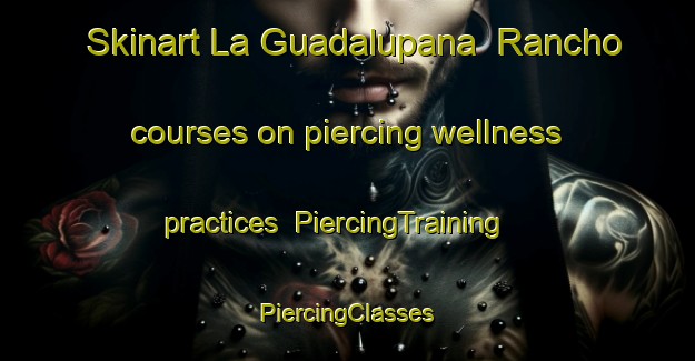 Skinart La Guadalupana  Rancho courses on piercing wellness practices | #PiercingTraining #PiercingClasses #SkinartTraining-Mexico