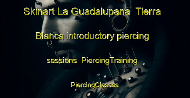 Skinart La Guadalupana  Tierra Blanca introductory piercing sessions | #PiercingTraining #PiercingClasses #SkinartTraining-Mexico