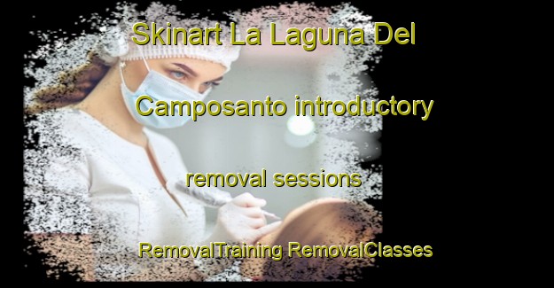 Skinart La Laguna Del Camposanto introductory removal sessions | #RemovalTraining #RemovalClasses #SkinartTraining-Mexico