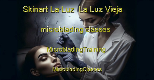 Skinart La Luz  La Luz Vieja microblading classes | #MicrobladingTraining #MicrobladingClasses #SkinartTraining-Mexico