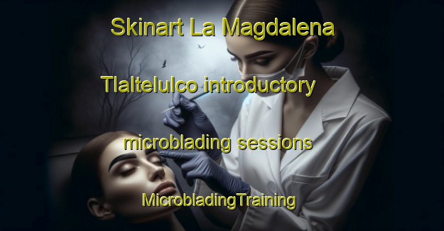 Skinart La Magdalena Tlaltelulco introductory microblading sessions | #MicrobladingTraining #MicrobladingClasses #SkinartTraining-Mexico