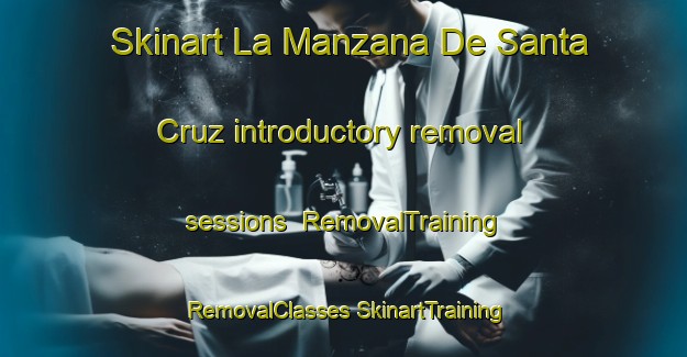 Skinart La Manzana De Santa Cruz introductory removal sessions | #RemovalTraining #RemovalClasses #SkinartTraining-Mexico