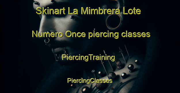 Skinart La Mimbrera Lote Numero Once piercing classes | #PiercingTraining #PiercingClasses #SkinartTraining-Mexico