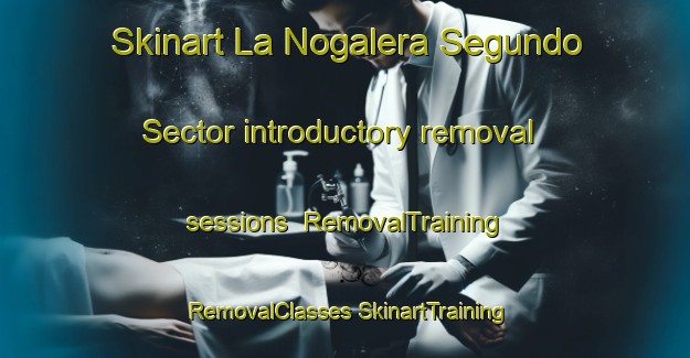 Skinart La Nogalera Segundo Sector introductory removal sessions | #RemovalTraining #RemovalClasses #SkinartTraining-Mexico