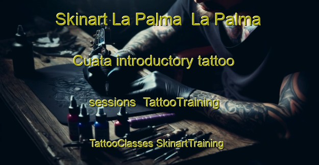 Skinart La Palma  La Palma Cuata introductory tattoo sessions | #TattooTraining #TattooClasses #SkinartTraining-Mexico