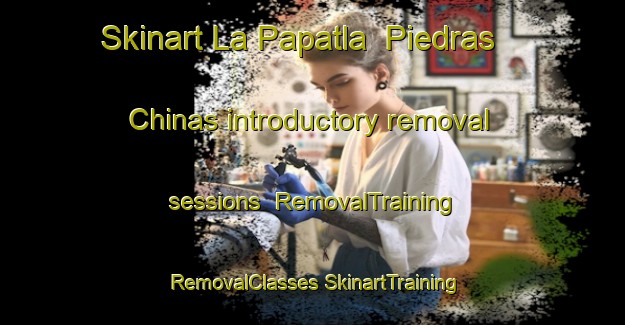 Skinart La Papatla  Piedras Chinas introductory removal sessions | #RemovalTraining #RemovalClasses #SkinartTraining-Mexico