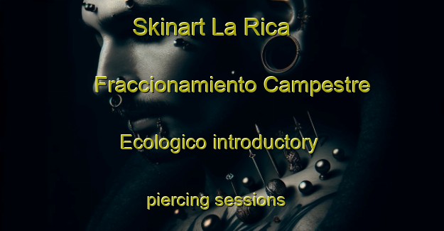 Skinart La Rica  Fraccionamiento Campestre Ecologico introductory piercing sessions | #PiercingTraining #PiercingClasses #SkinartTraining-Mexico