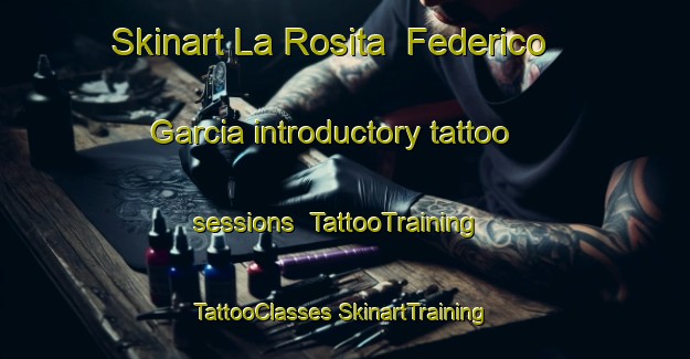 Skinart La Rosita  Federico Garcia introductory tattoo sessions | #TattooTraining #TattooClasses #SkinartTraining-Mexico