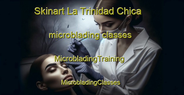 Skinart La Trinidad Chica microblading classes | MicrobladingTraining | MicrobladingClasses | SkinartTraining-Mexico