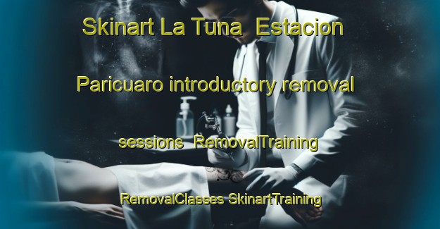 Skinart La Tuna  Estacion Paricuaro introductory removal sessions | #RemovalTraining #RemovalClasses #SkinartTraining-Mexico