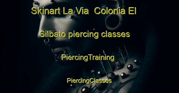 Skinart La Via  Colonia El Silbato piercing classes | #PiercingTraining #PiercingClasses #SkinartTraining-Mexico