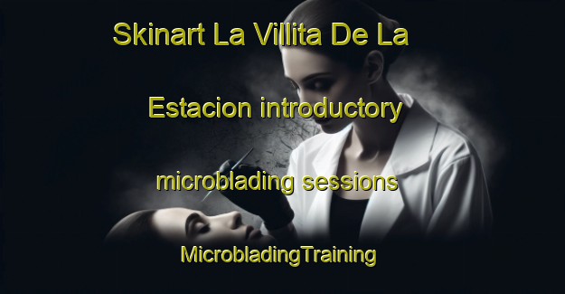 Skinart La Villita De La Estacion introductory microblading sessions | #MicrobladingTraining #MicrobladingClasses #SkinartTraining-Mexico