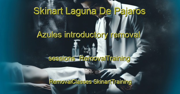 Skinart Laguna De Pajaros Azules introductory removal sessions | #RemovalTraining #RemovalClasses #SkinartTraining-Mexico